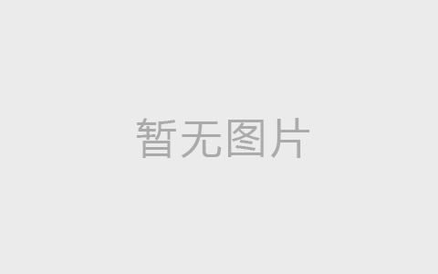 范文网